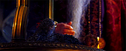 tumblr_mbp0t0g9fz1qmymtwo1_500