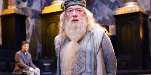 gallery-1479742357-harry-potter-fans-are-freaking-out-over-a-theory-about-dumbledore-that-makes-a-lot-of-sense